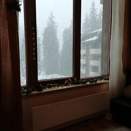 Appartement Evrika 5 *