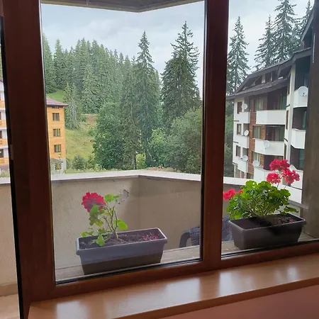 Evrika 5